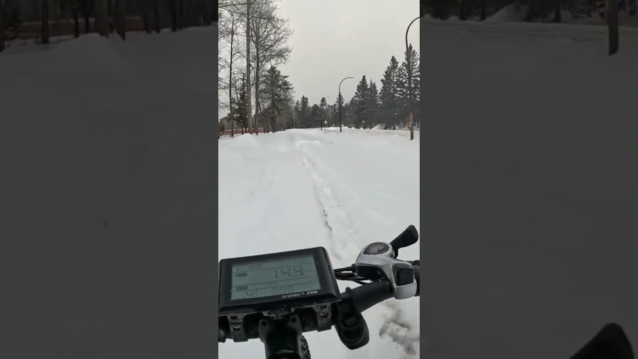 Snowdrifts almost block Trail 