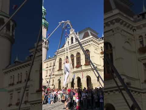 Aerial Net (2019)