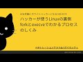 ハッカーが使うLinuxの裏側 forkとexecveでわかるプロセスのしくみ