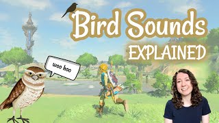 Mysterious Bird Sounds in Legend of Zelda: Breath of the Wild