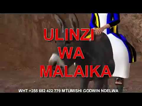 Video: Je ulinzi ni neno?