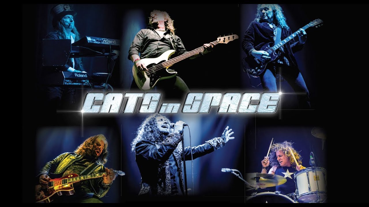 cats in space tour