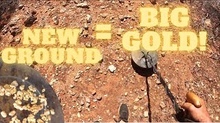 Big GOLD Nuggets! Detecting new ground in outback Western Australia pays off for the boys!