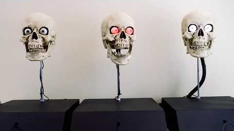 Talking Skull Overview - Our Three Models of Automatic Talking Skulls for Halloween 2019!