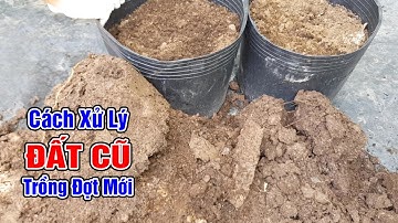Cách xử lý đất cũ trồng đợt mới không cần phơi