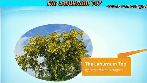 The Laburnum Top By Edward (Ted) James Hughes - (Hornbill - XI)