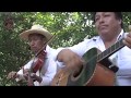 Sones de carnaval en la huasteca veracruzana