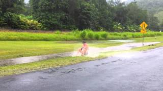 Barefoot Redneck Style