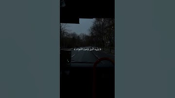 والله يريد أن يتوب عليكم | محمد اللحيدان | سورة النساء