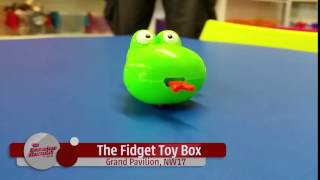 Fleamasters Finds - Fidget Toybox