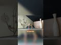 Анатомия шпагата: как тянуться без травм и боли | Йога #yoga #йога #шпагат #растяжка #шпагатбезболи