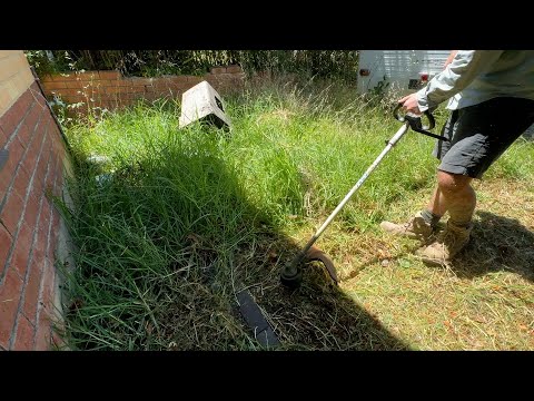 TRANSFORMED a garden for FREE - Thank you gift will SUPRISE you!