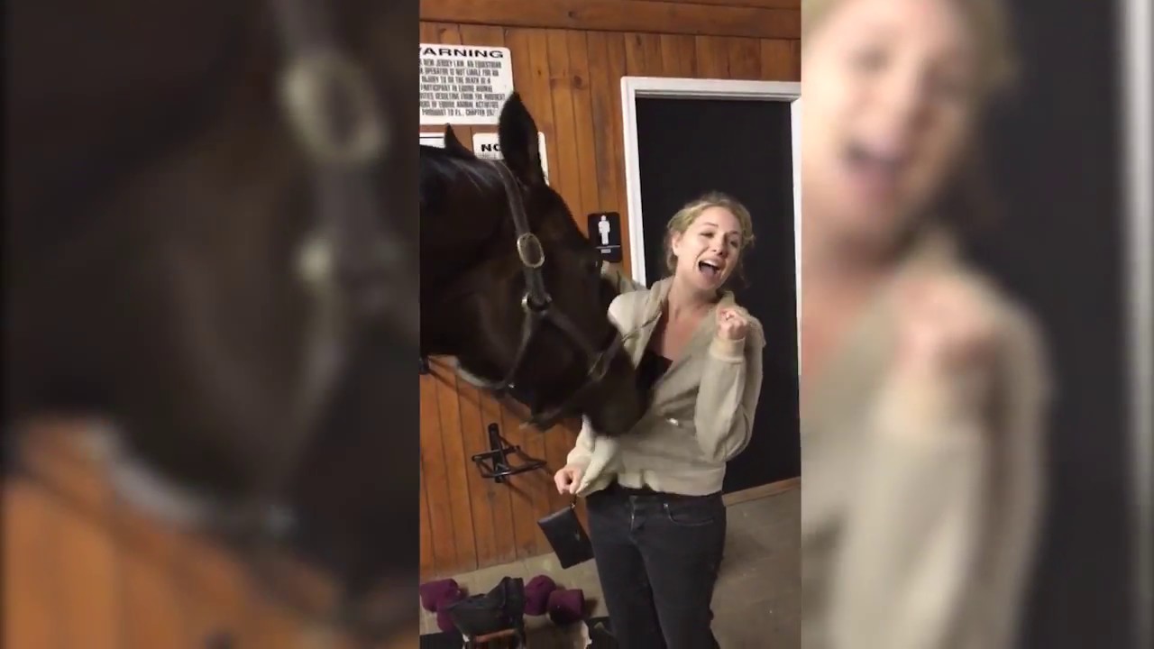 Horse Plays with Girl's Hoodie