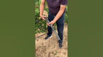 Experimentation on Grapevine Irrigation - Ningxia (China; 2023) #viticulture