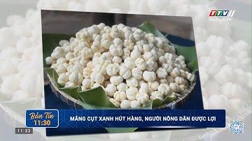 Măng cụt xanh hút hàng, người nông dân được lợi | TayNinhTV