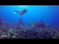 Diving Grand Turk - GoPro Hero3 Black, Backscatter Flip3 Filter & Quik Pod Explorer II Monopod