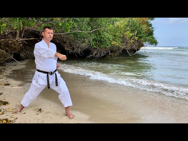 Beginners Shotokan Karate: Gyaku Zuki (Reverse punch) - YouTube