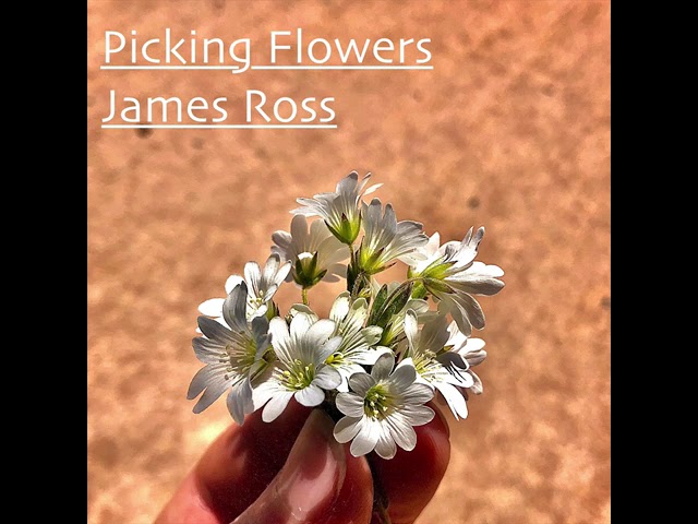 Watch Lilac - James Ross on YouTube Watch Lilac - James Ross on YouTube