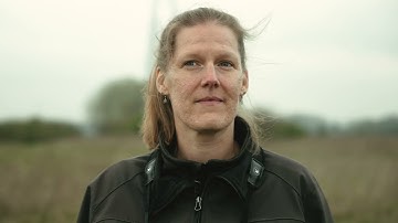 Regelink onboarding - Gierzwaluwonderzoek