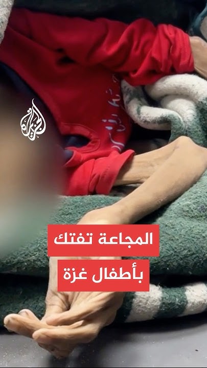      
 - نشر قبل 7 دقيقة