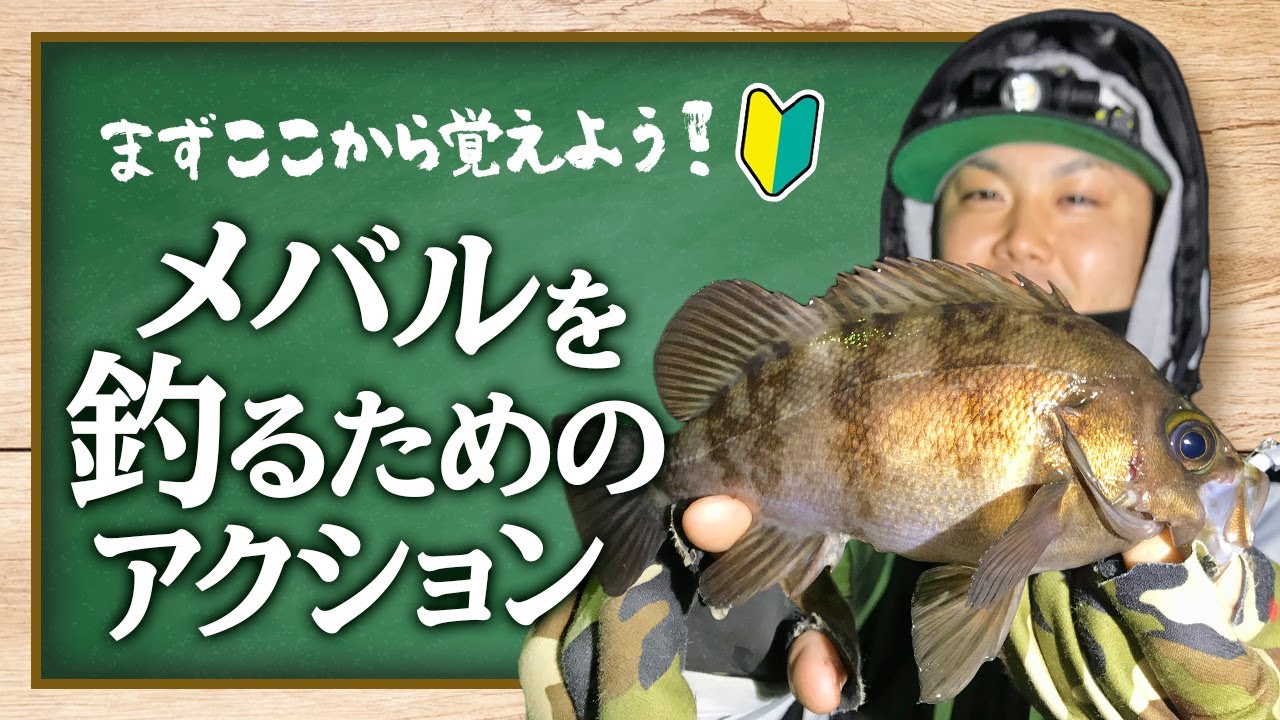 初心者釣り教室 メバル釣りのタックル何使ってる コスパ最強の組み合わせをご紹介します Youtube 初心者釣り教室 メバル釣りのタックル何使ってる コスパ最強の組み合わせをご紹介します Youtube