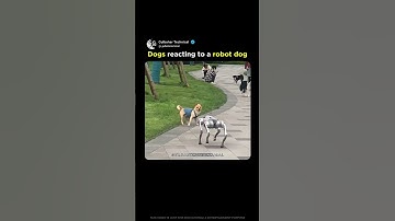 Real Dogs vs Robot Dogs: Their Reaction Shocked Me! 🤖🐕