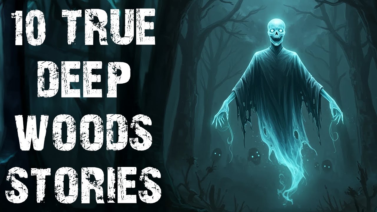 10 True Disturbing Deep Woods Scary Stories | Real Forest Horror Stories To Fall Asleep To