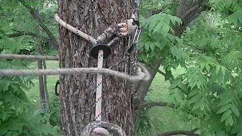 my Figure Eight rappel method for saddle hunting