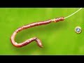 Como poner LOMBRIZ en el anzuelo de PESCA | How to put earthworm on the hook