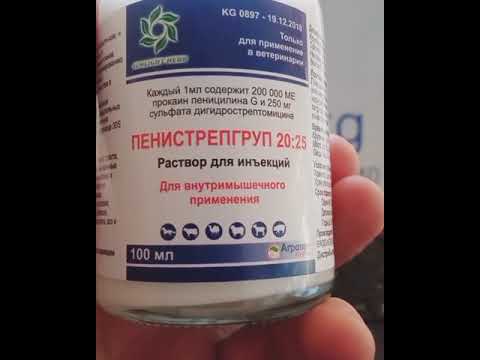 Video: Заара чыгаруу жолдорунун инфекциялары