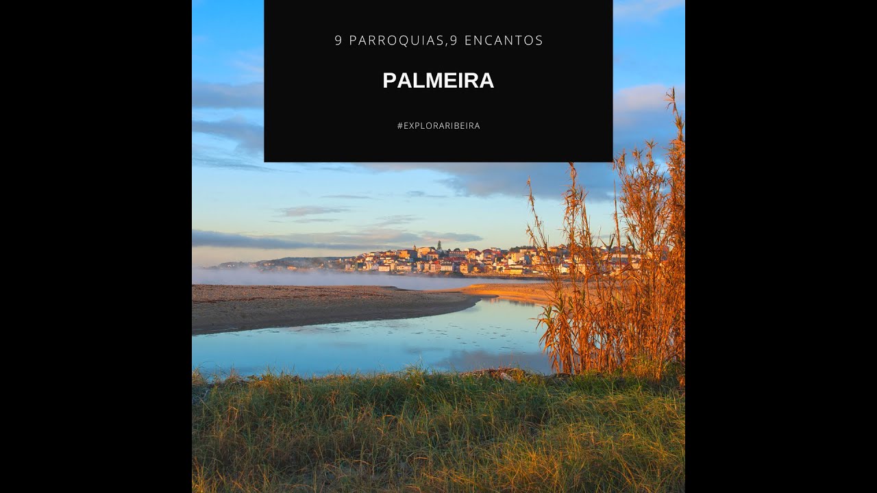 PALMEIRA