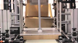e-Cube Automated Packaging System