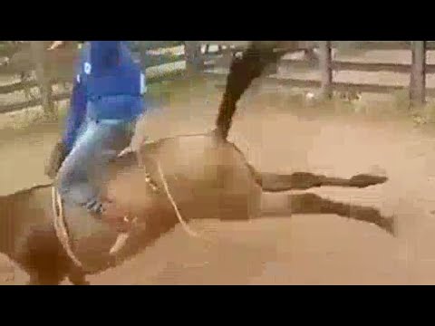 حصان هائج يعض راكبه ثم يوقعه أرضا