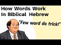 How Words Work in Biblical Hebrew