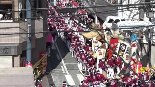 20150920 00056 本宮午後曳行 小門 紙屋町 岸和田だんじり祭