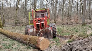 🌳🌲mb trac 1000 forestier/débardage/MB Trac Forst/Holzrücken/Forstarbeiten/ Mb Trac 🌲🌳