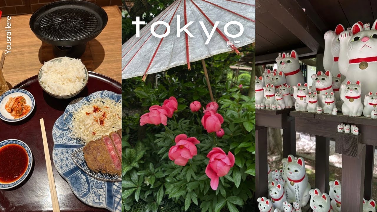 Соло в Токио Vlog 🍜: Храмы, магазины, музеи и другое | Путешествие по Японии 🇯🇵