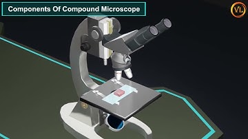 Microscope ｜｜ 3D Animated Explanation ｜｜ Class 12th Physics ｜｜ Ray Optics & Optical Instruments ｜｜