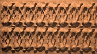 Making of Rajasthan Tourism Logo Ad