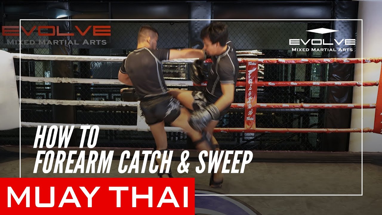 Muay Thai How To Forearm Catch and Sweep YouTube