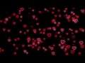 Flying Heart❤️Heart Neon Lights Love Heart Background Video Loop 10 Hours Mp3 Song