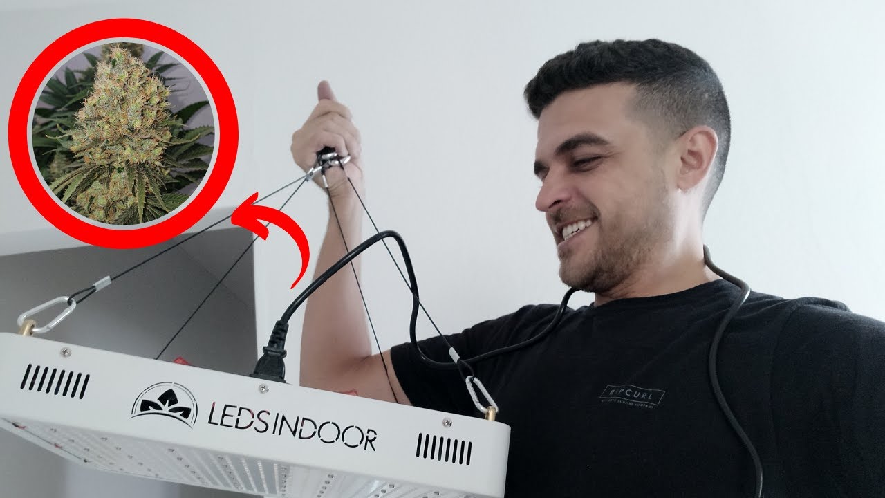 Como Comprar Equipamentos Para Cultivo Indoor