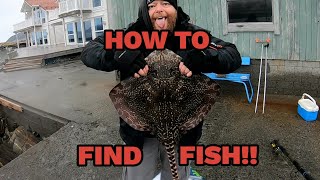 How to find fish in unfamiliar places