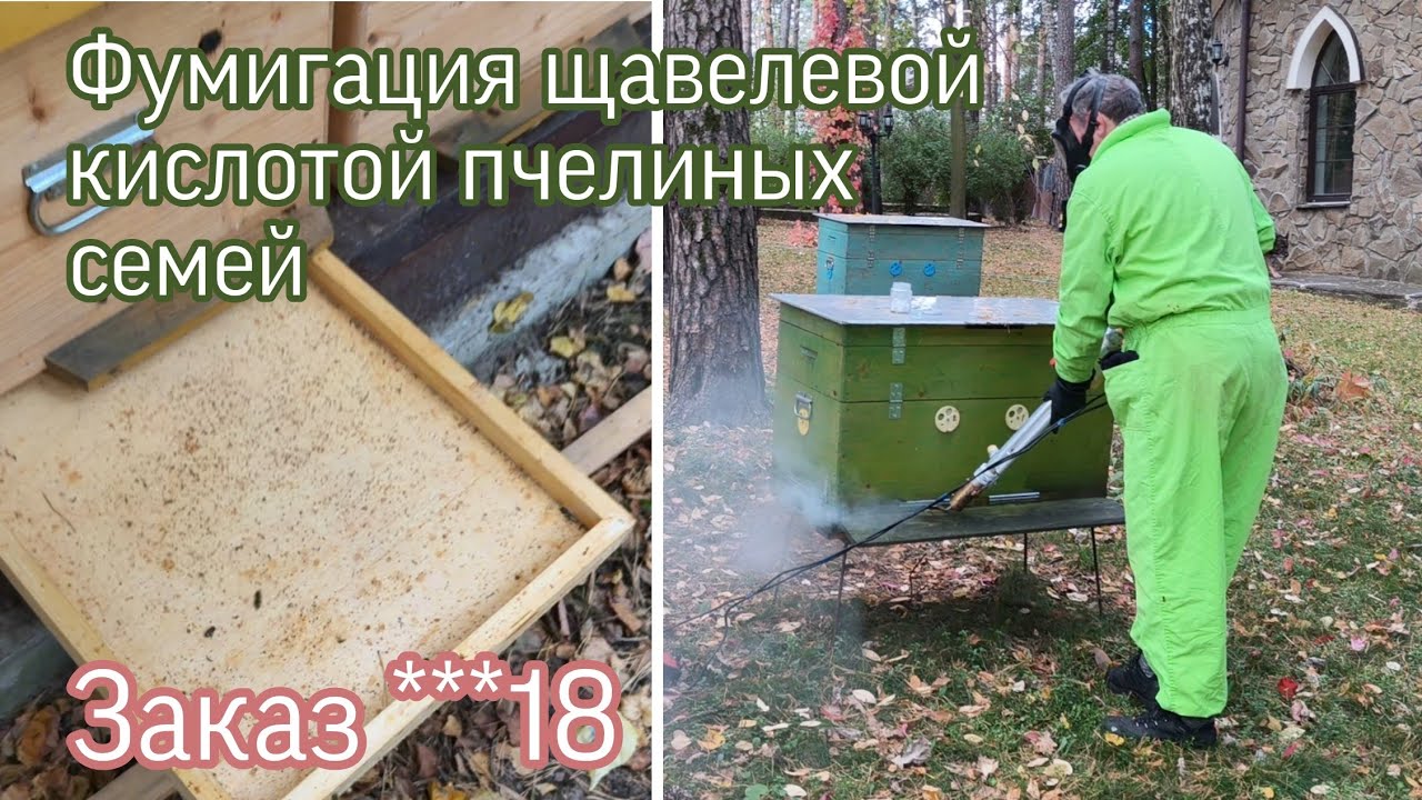 Показываю результат и повторную обработку пчёл щавеливой кислотой на клиентской пасеке. Заказ ***18