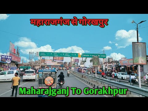 Maharajganj To Gorakhpur 2023 | महाराजगंज से गोरखपुर