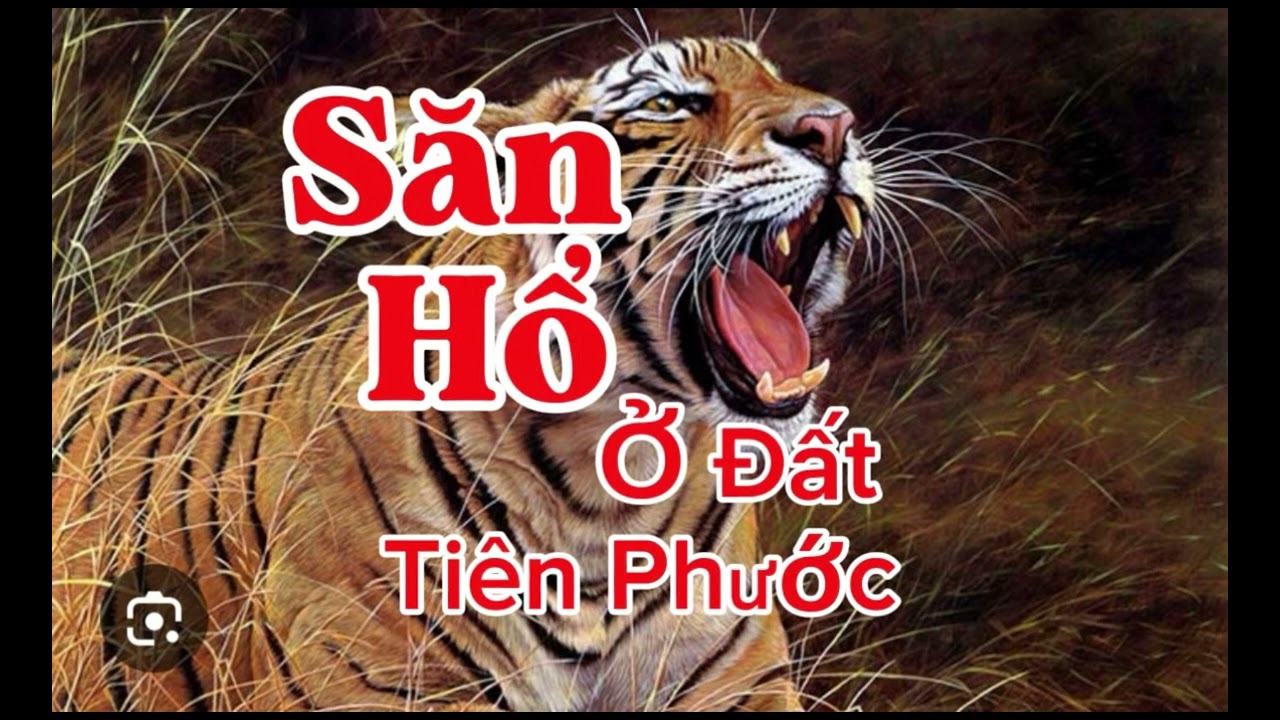 SĂN HỔ Ở ĐẤT TIÊN PHƯỚC | Lê Anh diễn đọc 