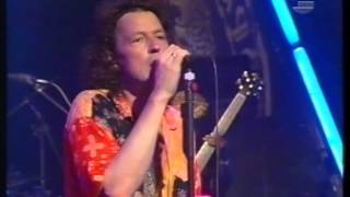 Wolfgang Niedecken &amp; Leopardefellband - Jeder&#39;s manchmal einsam - Live 1995