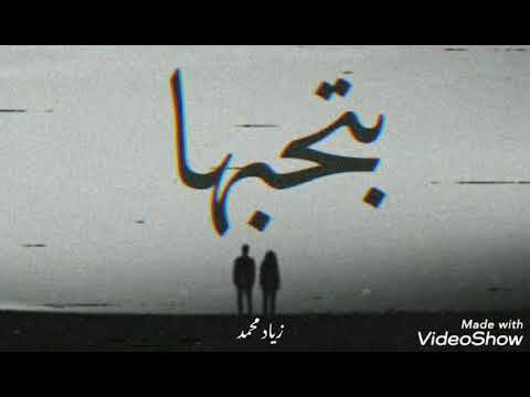 بتحبها زياد محمد 7