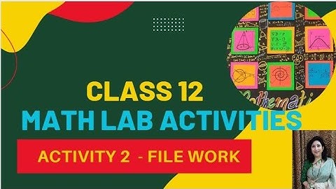MATH LAB ACTIVITY - 2 : Class 12 : Lab File Work - Function that is ONTO but not 1-1