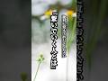 絶対に覚えておいてください『繋いでいく人とは』#名言 #名言集 #心に響く言葉